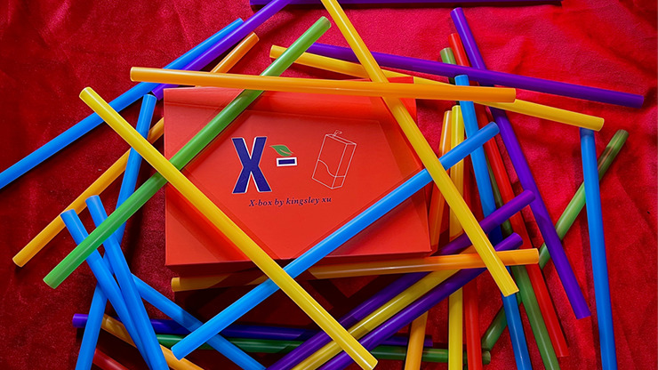 X Box 2.0, Gimmicks and Online Instructions by Kingsley Xu - Image 2