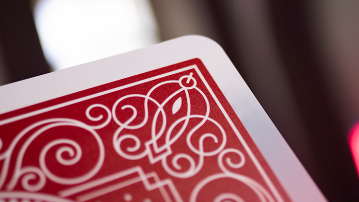 Lion Monte by Brother's Magic (color may vary) - Image 4