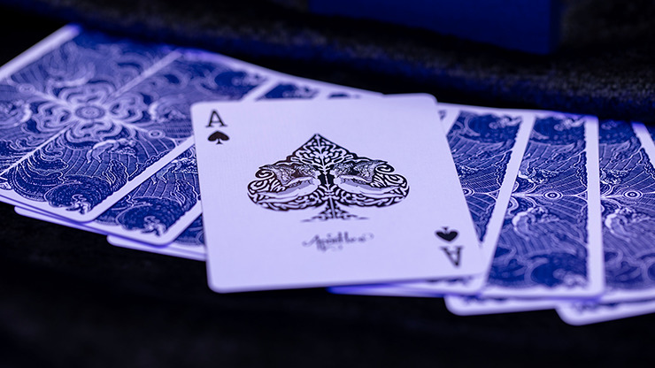 Apostles Playing Cards, Deck and Online Instructions by Luke Jermay - Image 4