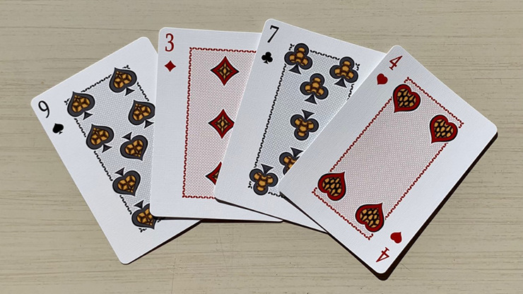 Bicycle Turtle, Land Playing Cards - Image 5