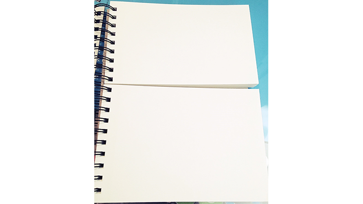 SvenPad Picasso: Small Mini 7x10 inch, Two Sections - Image 3