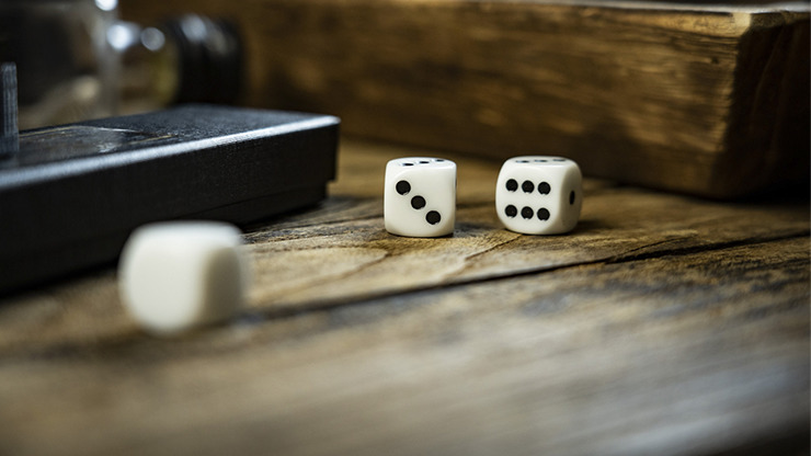 DALMATIAN by TCC - Image 2