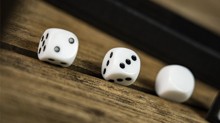 DALMATIAN by TCC - Image 4