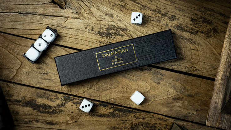 DALMATIAN by TCC - Image 6