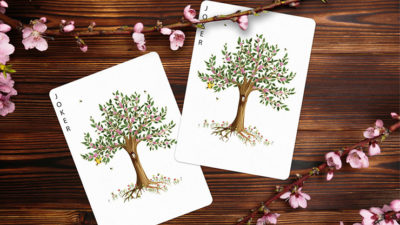 Wooden Leaves Summer Box Set Playing Cards by Dutch Card House Company - Image 4