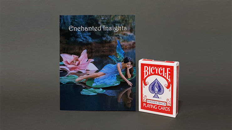 ENCHANTED INSIGHTS RED, Japanese Instruction by Peter Wallace - Image 3