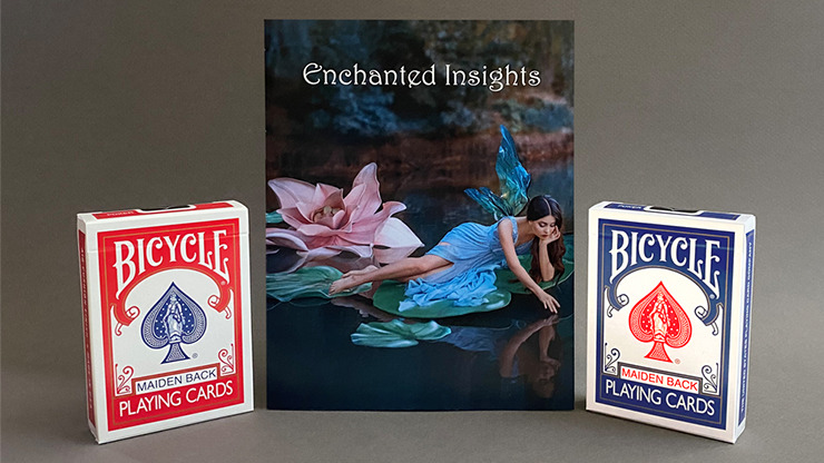 ENCHANTED INSIGHTS BLUE, English Instruction by Peter Wallace - Image 2