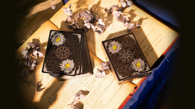 Epiphyllum Playing Cards - Image 6
