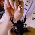 SCORPION by Hugo Valenzuela - Image 3