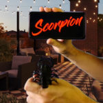 SCORPION by Hugo Valenzuela - Image 4