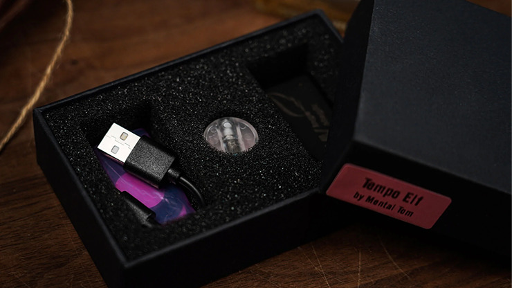 WingsMagic Present Tempo Elf by Mental Tom - Image 3