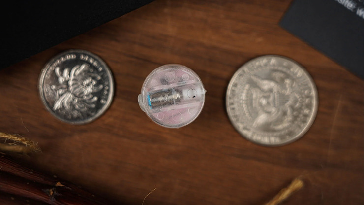 WingsMagic Present Tempo Elf by Mental Tom - Image 4