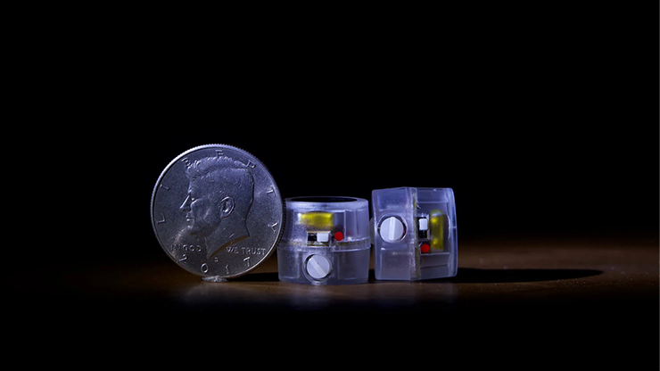 WingsMagic Present Tempo Elf by Mental Tom