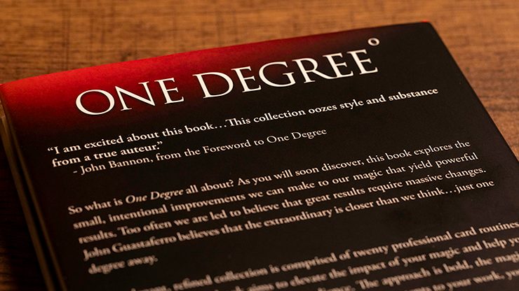 One Degree by John Guastaferro and Vanishing Inc. - Image 4
