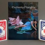 ENCHANTED INSIGHTS RED, German Instruction by Magic Entertainment Solutions - Image 2