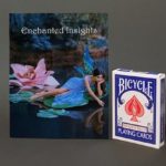 ENCHANTED INSIGHTS RED, German Instruction by Magic Entertainment Solutions - Image 3