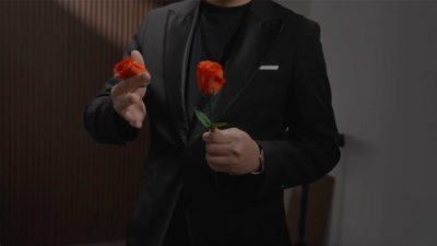 Eternal Rose by Bond Lee - Image 6