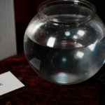 Flash Fish Production by LT Magic - Image 2