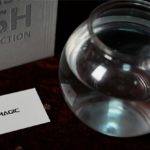 Flash Fish Production by LT Magic - Image 3