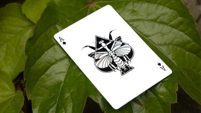Mantis Playing Cards, Marked - Image 3