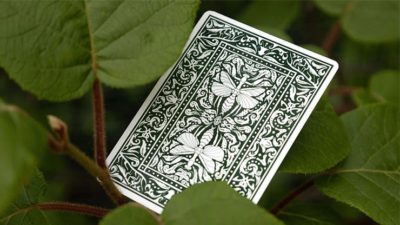 Mantis Playing Cards, Marked - Image 4