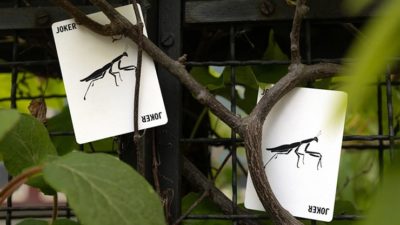 Mantis Playing Cards, Marked - Image 2