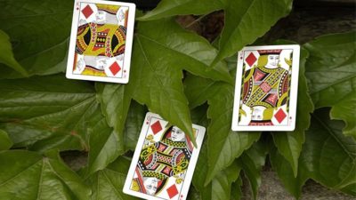 Mantis Playing Cards, Marked - Image 6