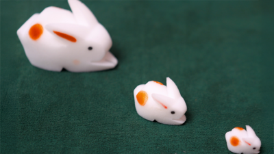 The Bunnies! 3D Rabbits, Parents, Kids & Grandpa - Image 2