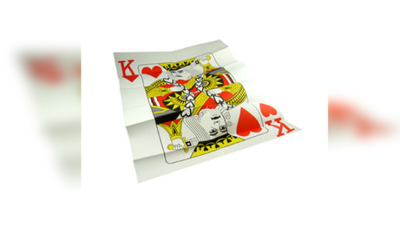 The Magicians Insurance Policy - Image 2