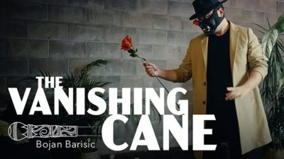 Vanishing Cane, Stage by Bojan Barisic and Stage Elegance