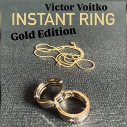 Instant Ring, silver/gold, Size 12 by Viktor Voitko