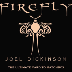 Firefly by Joel Dickenson