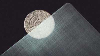 Transparent Matrix, Half Dollar 2024 by Richard Mo - Image 2