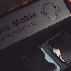 Transparent Matrix, Half Dollar 2024 by Richard Mo