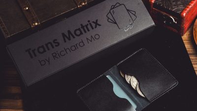 Transparent Matrix, Half Dollar 2024 by Richard Mo