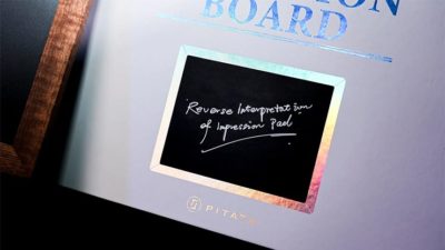 PITATA Inversion Board - Image 6